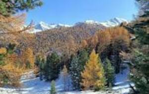 GROUPE A. Mardi 16 décembre 2025.