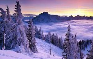 GROUPE A. Mardi 20 Janvier 2026.