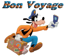 VOYAGE SURPRISE
