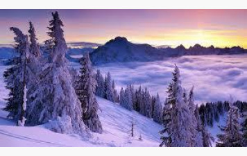 GROUPE A. Mardi 20 Janvier 2026.