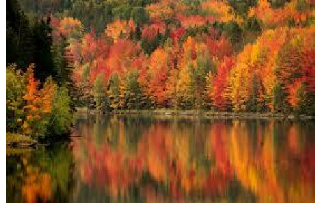 Groupe A Cool - VENDREDI 19 DECEMBRE 2025