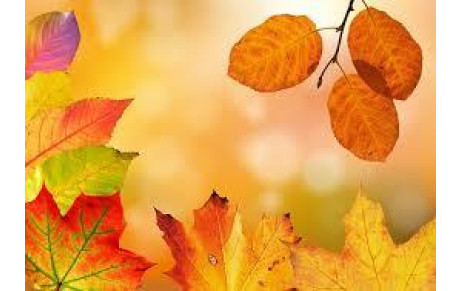 GROUPE C Mardi 16  DECEMBRE 2025