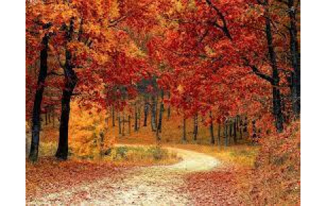 GROUPE D. Mardi 13 décembre 2025.