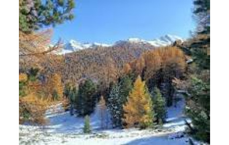 GROUPE A. Mardi 16 décembre 2025.