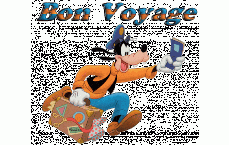 VOYAGE SURPRISE